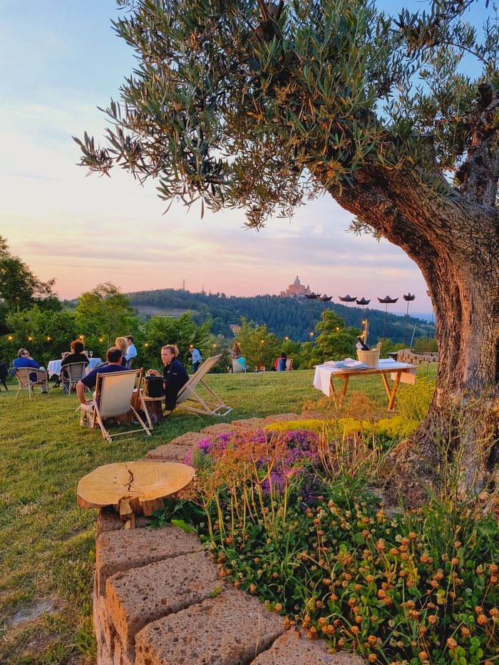 Ulivo secolare e ospiti sul prato al tramonto, con il Santuario di San Luca sui colli bolognesi
